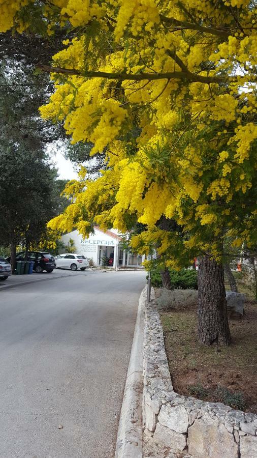 Glamping Beach Soline Biograd Na Moru Extérieur photo